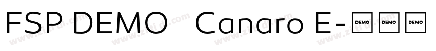 FSP DEMO   Canaro E字体转换